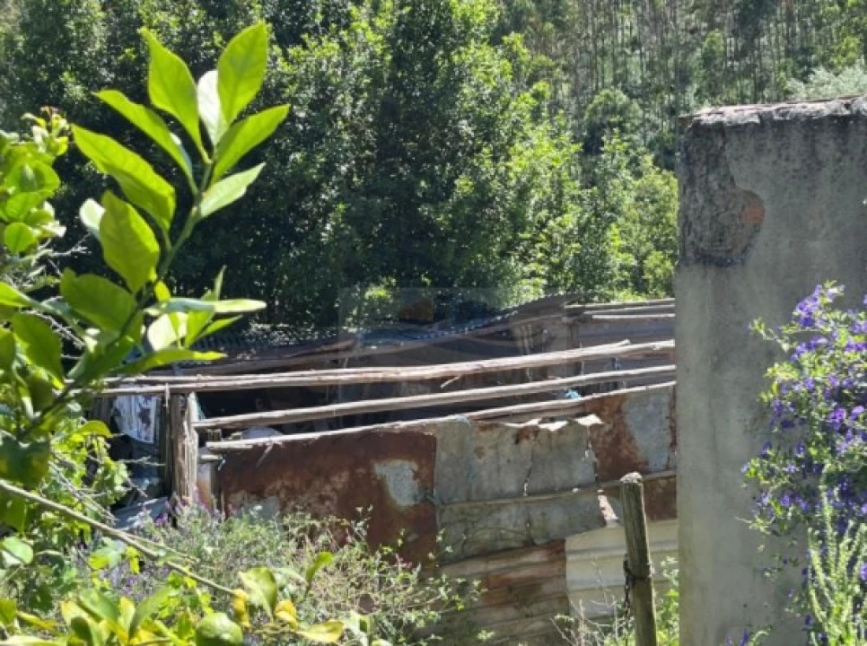 Terreno para Venda em Santa Maria, São Pedro e Matacães Foto 8