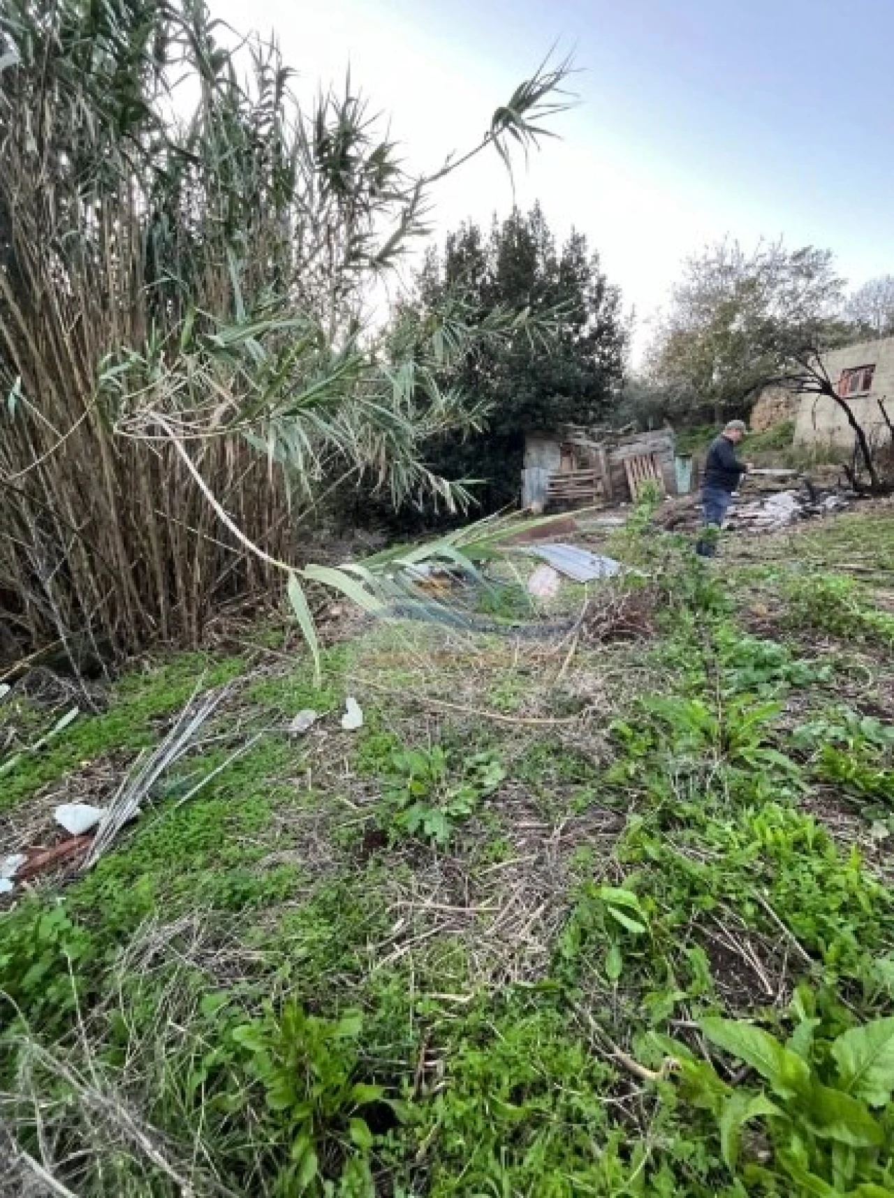 Terreno para Venda em Santa Maria, São Pedro e Matacães Foto 12
