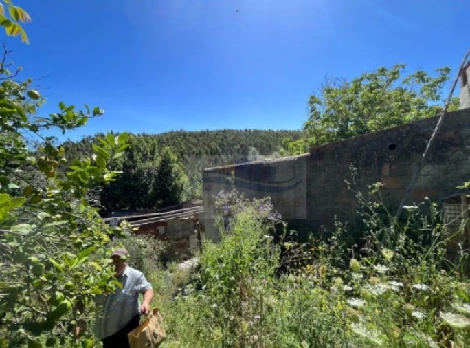 Terreno para Venda em Santa Maria, São Pedro e Matacães Foto 6