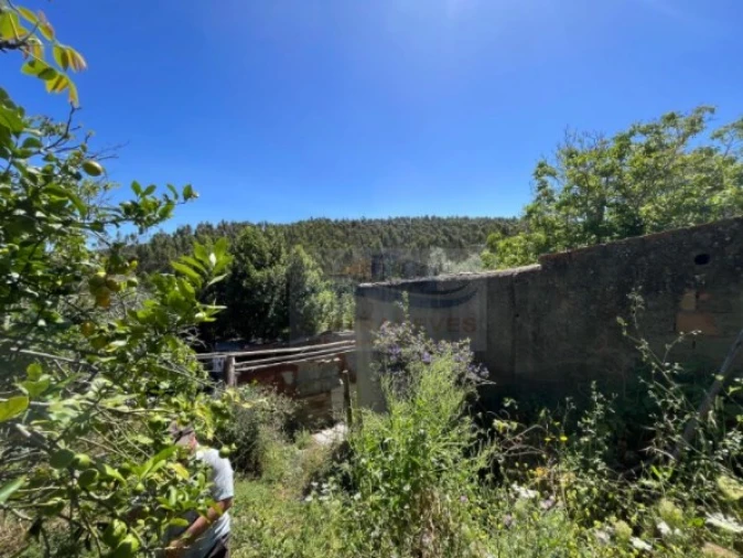 Terreno para Venda em Santa Maria, São Pedro e Matacães Foto 9