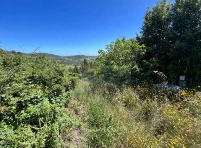 Terreno para Venda em Santa Maria, São Pedro e Matacães Foto 10