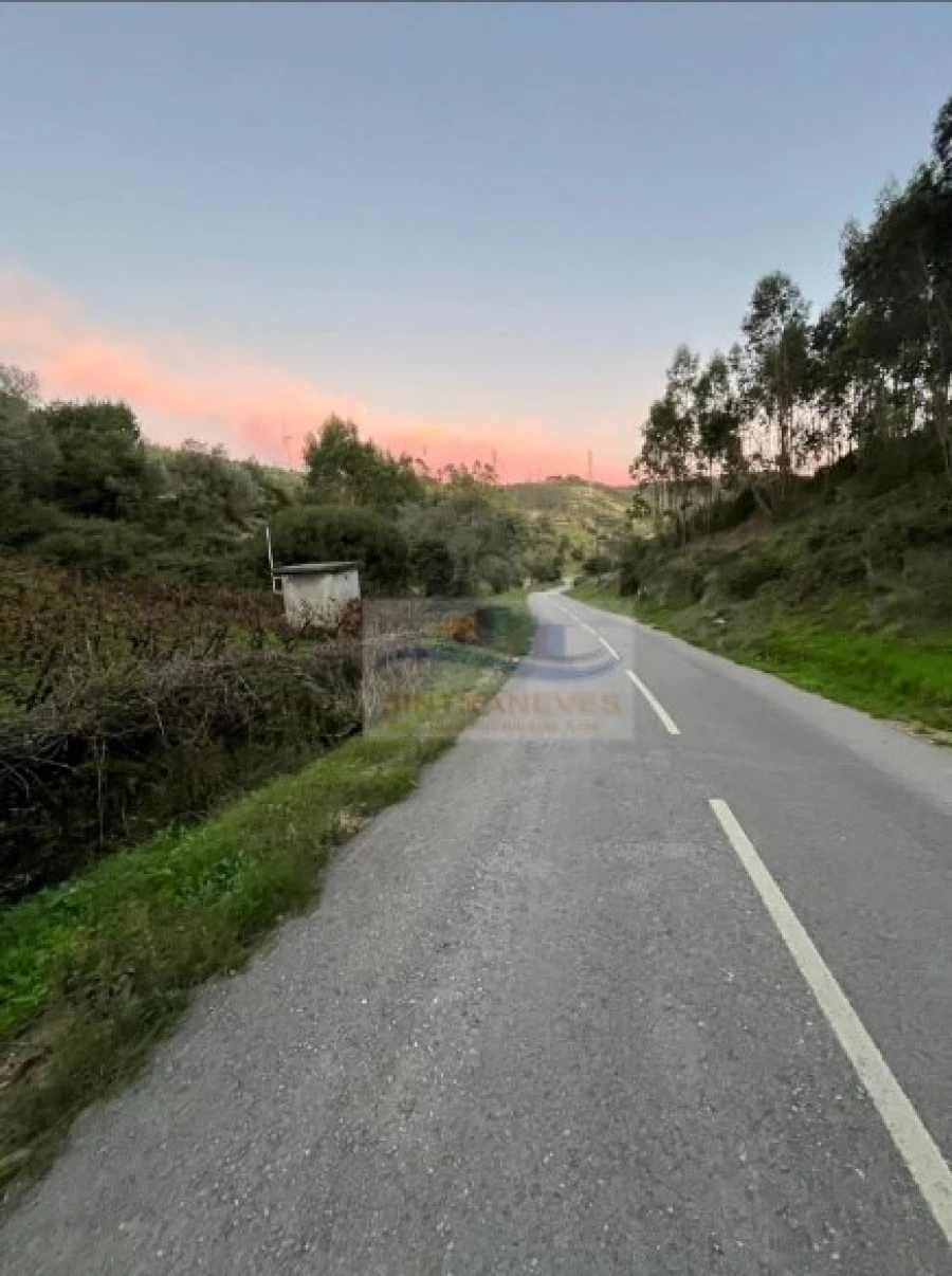 Terreno para Venda em Santa Maria, São Pedro e Matacães Foto 11