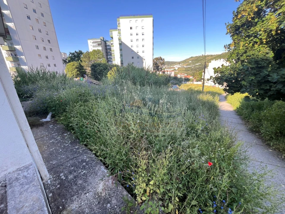Terreno para Venda em Santo António dos Cavaleiros e Frielas Foto 6