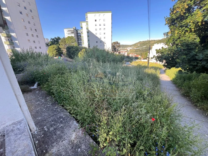 Terreno para Venda em Santo António dos Cavaleiros e Frielas Foto 6