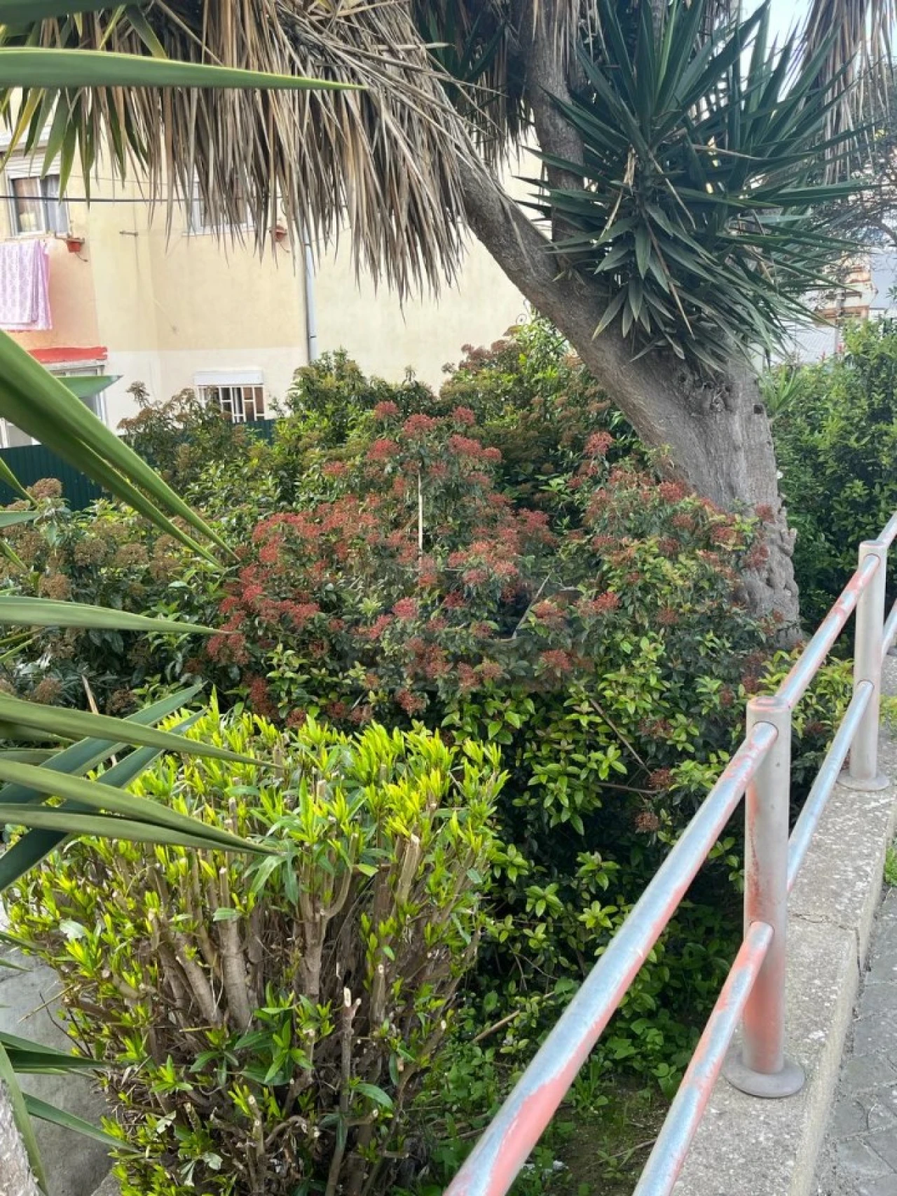 Armazém para Arrendamento em Camarate, Unhos e Apelação Foto 9