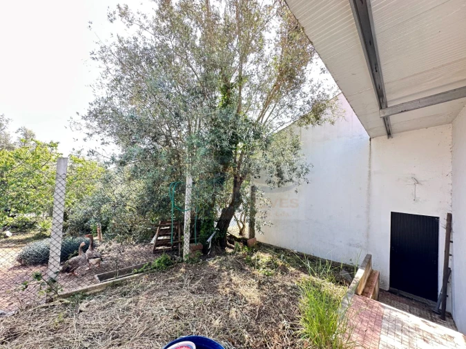 Moradia T4 para Venda em Alcobaça e Vestiaria Foto 69