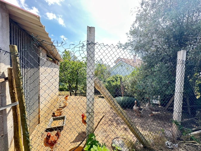 Moradia T4 para Venda em Alcobaça e Vestiaria Foto 70