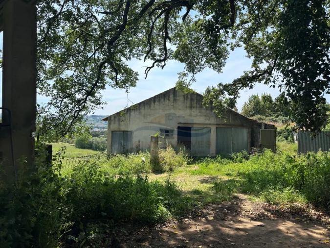 Moradia T4 para Venda em Alcobaça e Vestiaria Foto 76