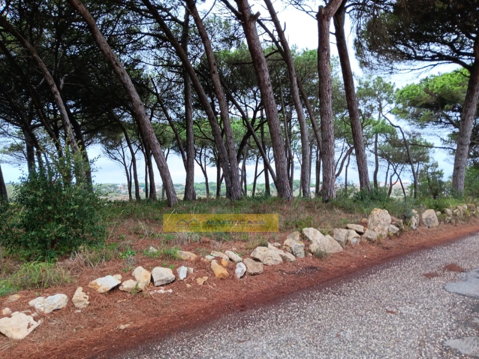 Moradia T3 para Venda em São João das Lampas e Terrugem Foto 54