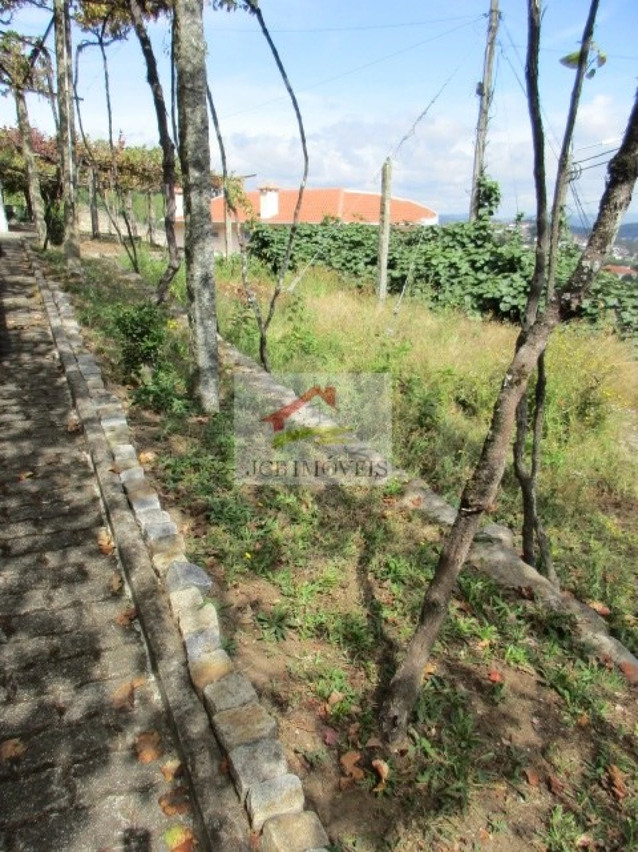 Quinta T5 para Venda em Roriz Foto 11