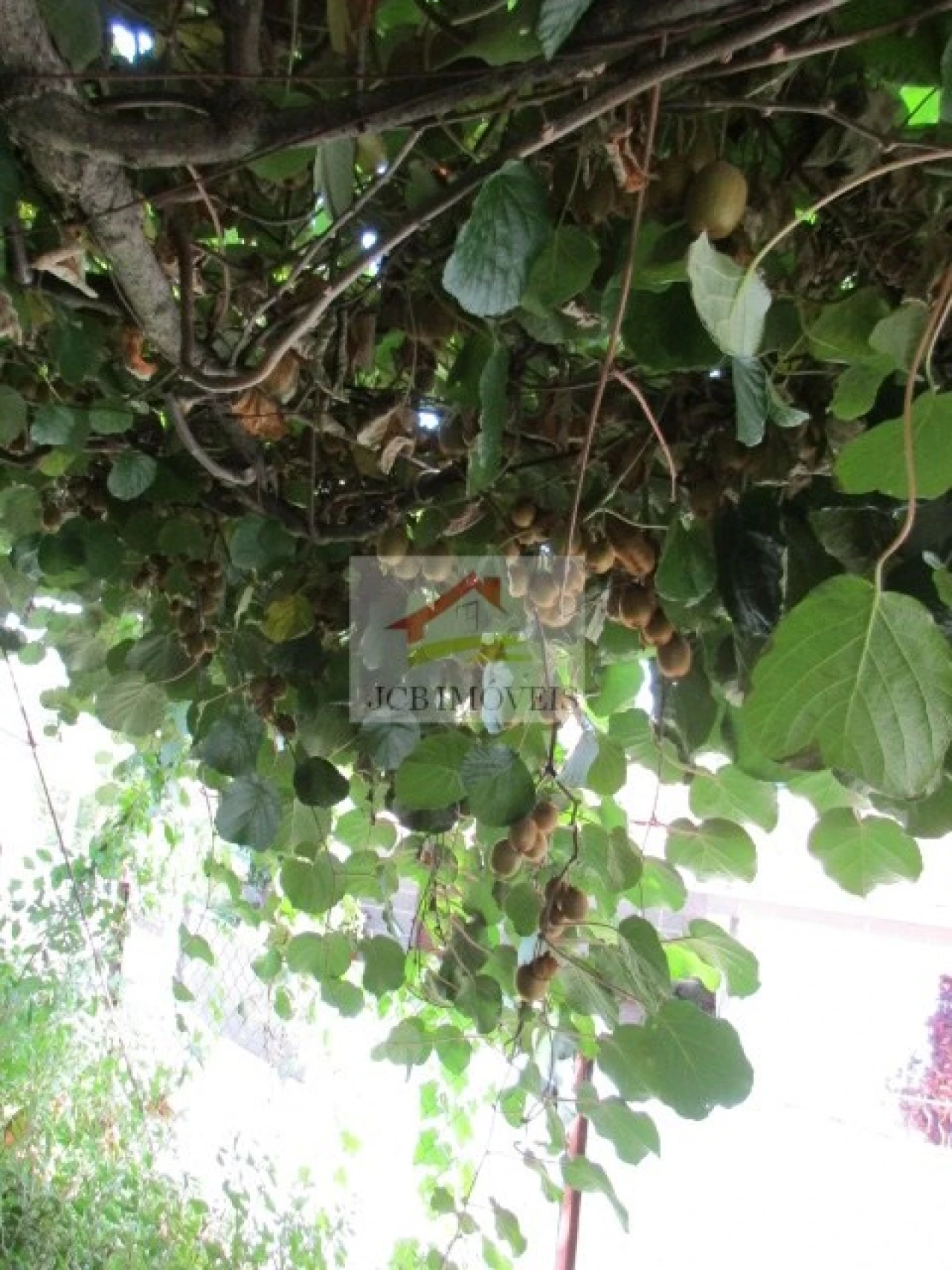 Quinta T5 para Venda em Roriz Foto 24