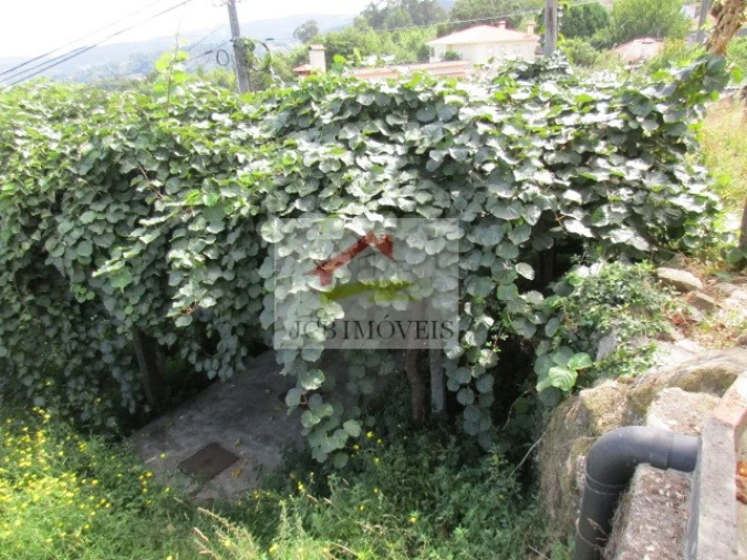 Quinta T5 para Venda em Roriz Foto 9