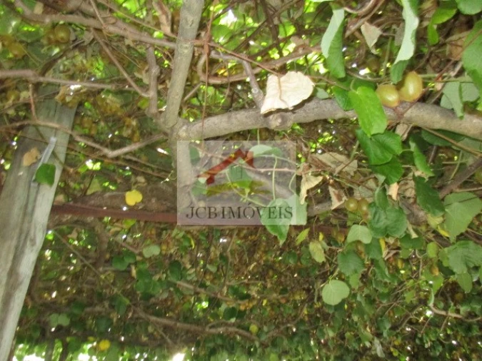 Quinta T5 para Venda em Roriz Foto 25