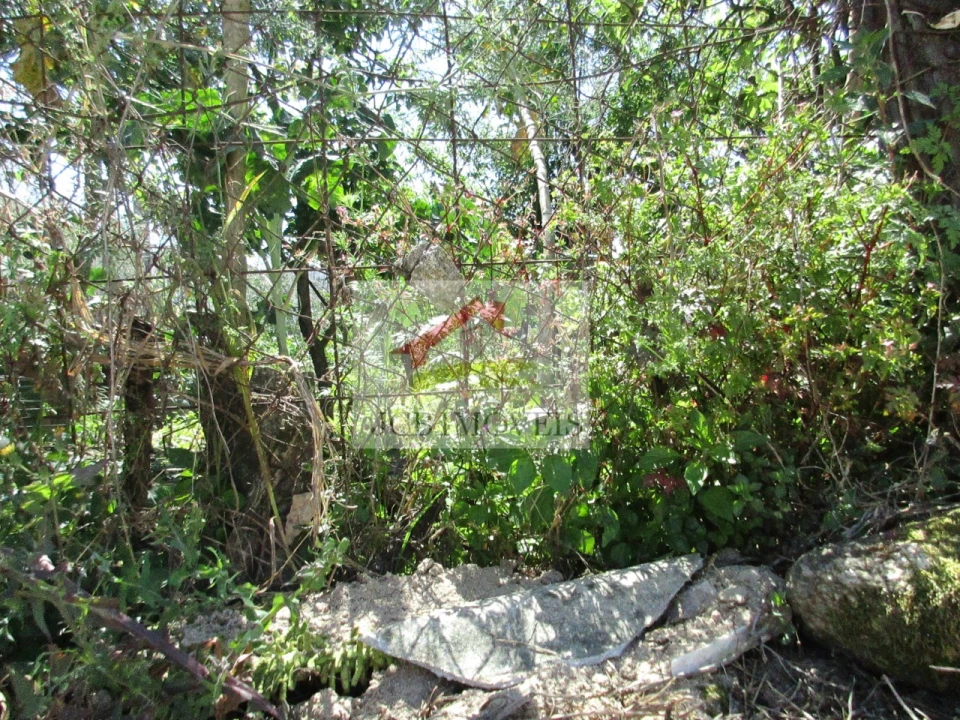 Terreno para Venda em Ermesinde Foto 5