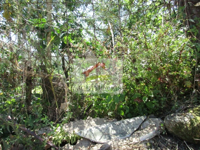 Terreno para Venda em Ermesinde Foto 5