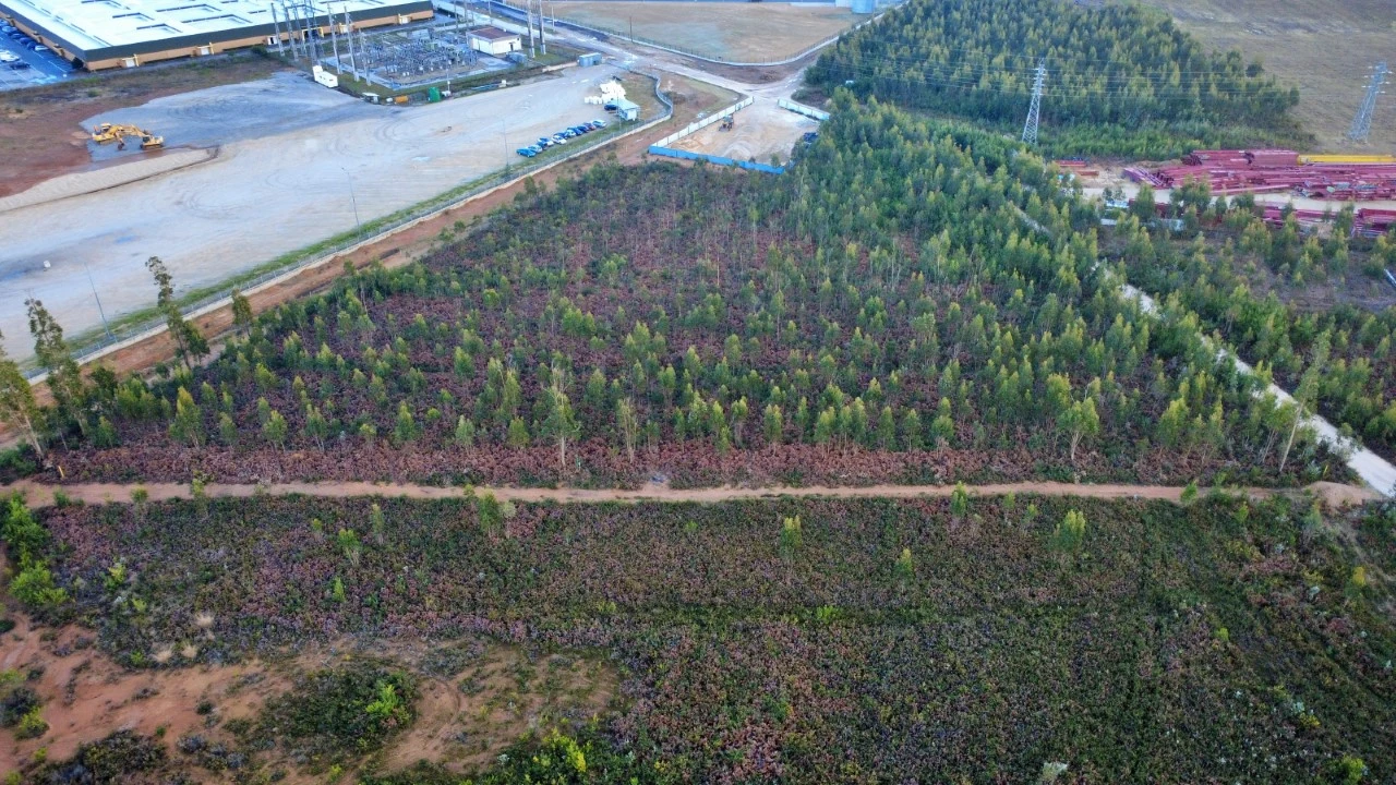 Terreno para Venda em Albergaria-A-Velha e Valmaior Foto 2