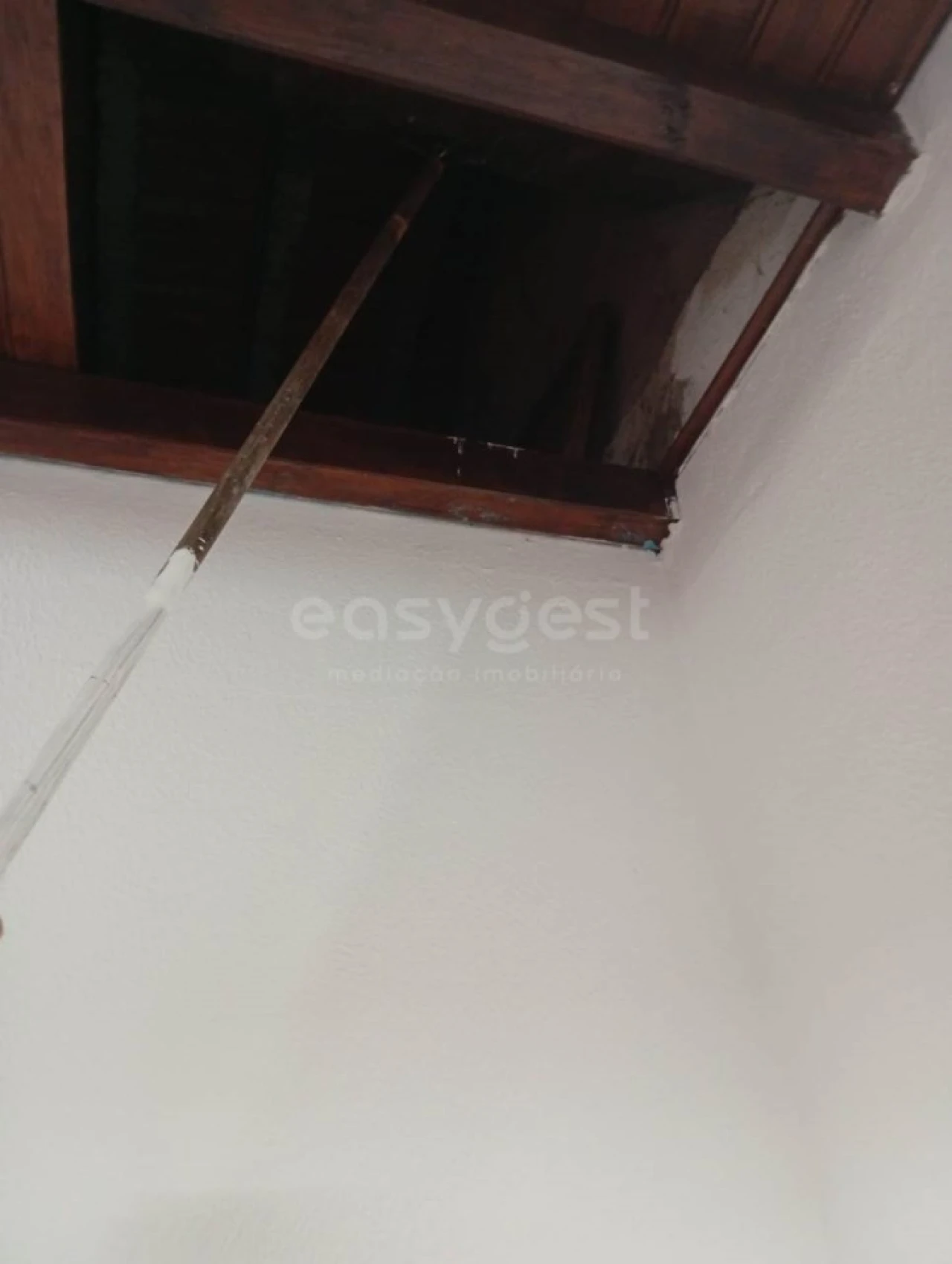 Loja para Venda em Canha Foto 10