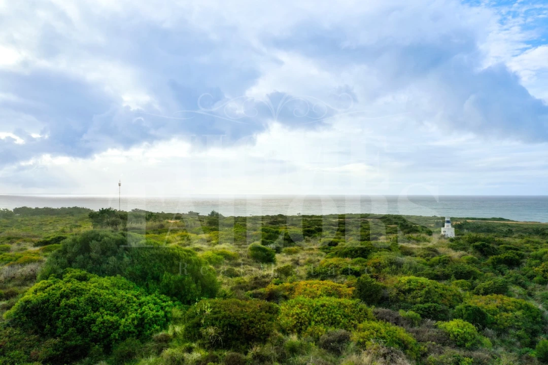 Terreno para Venda em Carvoeira Foto 16