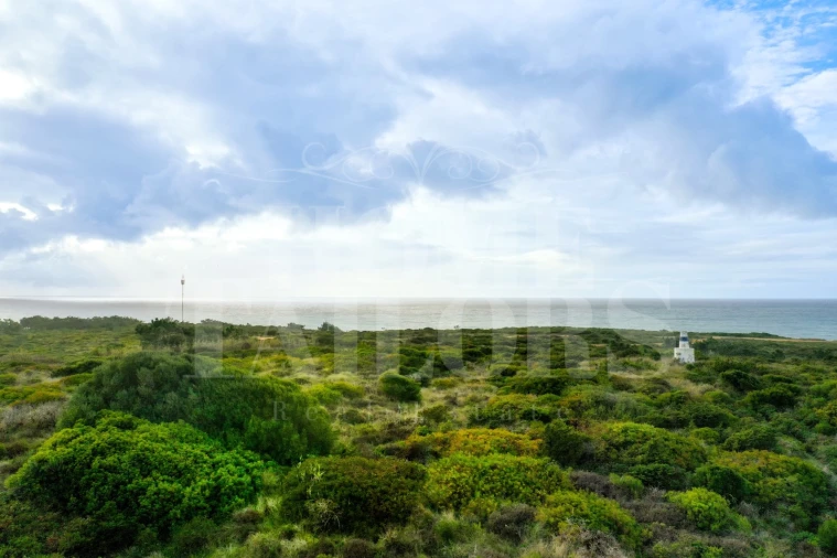 Terreno para Venda em Carvoeira Foto 16