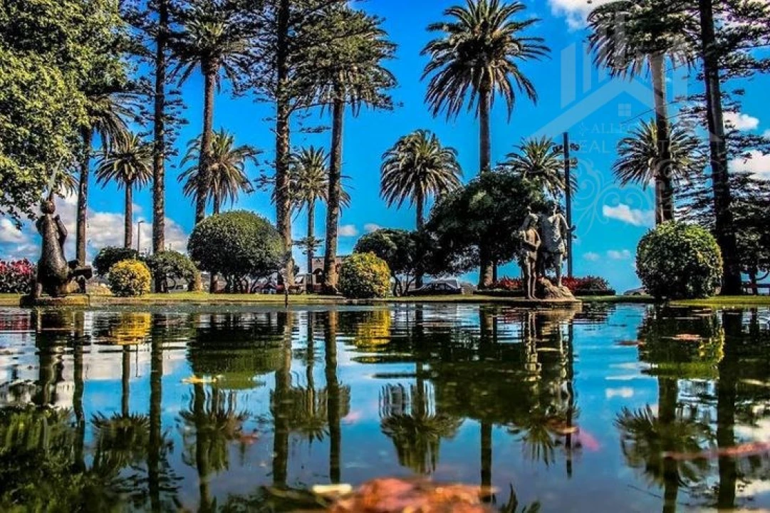 Apartamento T3 para Venda em Lordelo do Ouro e Massarelos Foto 12
