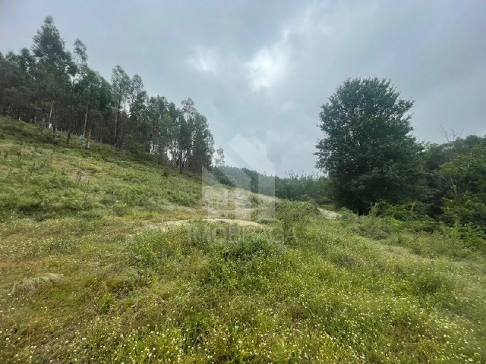 Quinta T4 para Venda em Souto Santa Maria, Souto São Salvador e Gondomar Foto 24