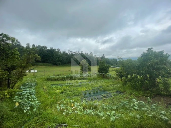 Quinta T4 para Venda em Souto Santa Maria, Souto São Salvador e Gondomar Foto 3