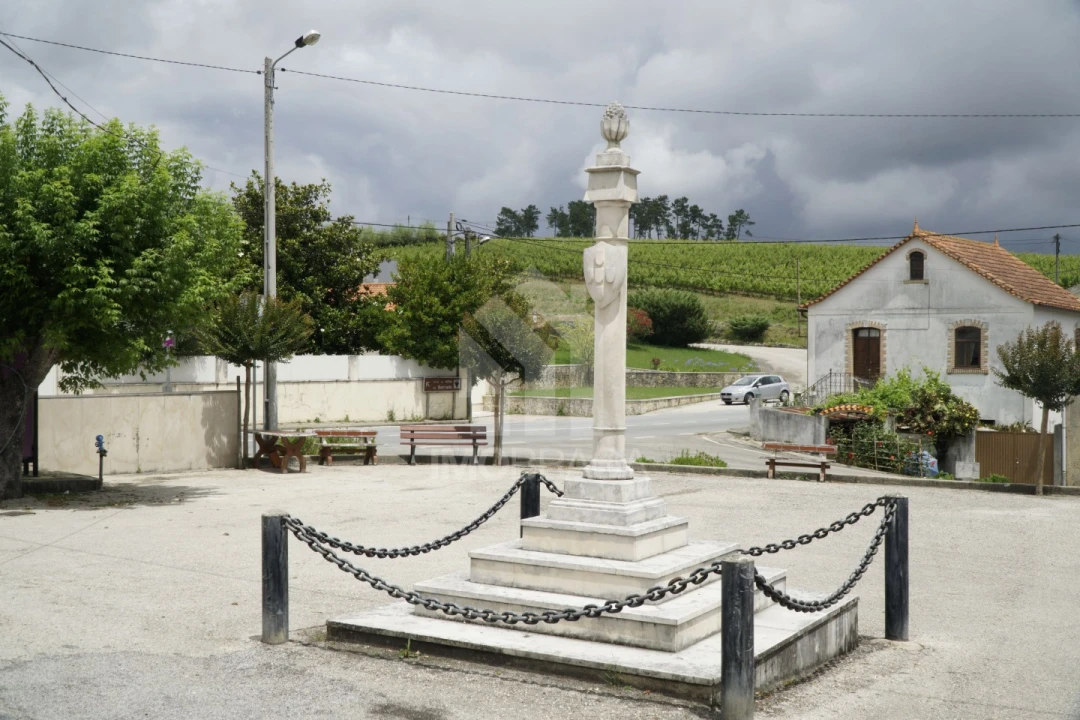 Terreno para Venda em São Lourenço do Bairro Foto 13