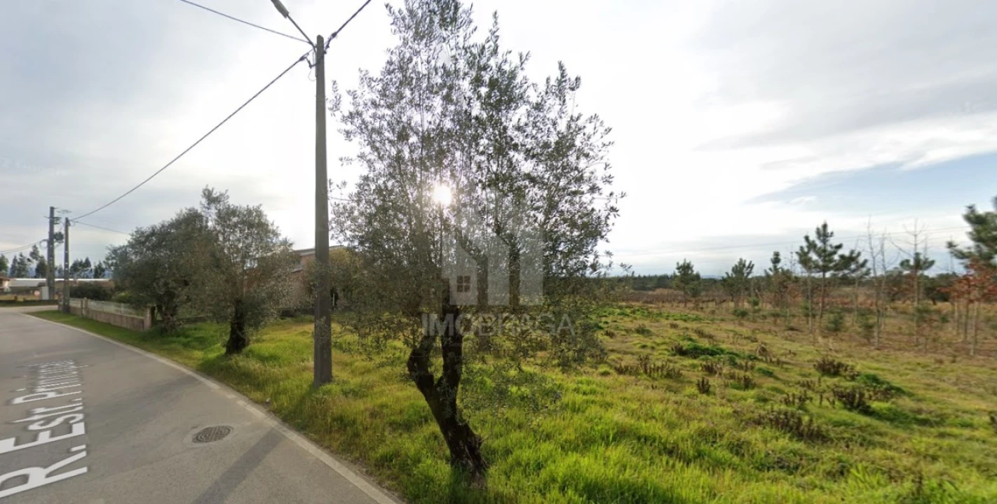 Terreno para Venda em São Lourenço do Bairro Foto 2