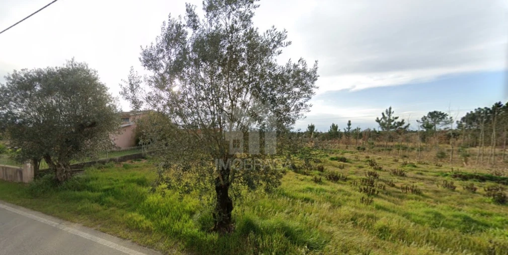 Terreno para Venda em São Lourenço do Bairro