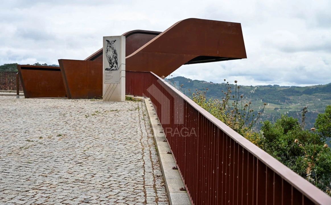 Moradia T4 para Venda em Alijo Foto 15