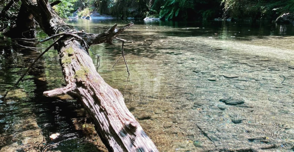 Moradia T3 para Venda em Aboadela, Sanche e Várzea Foto 17