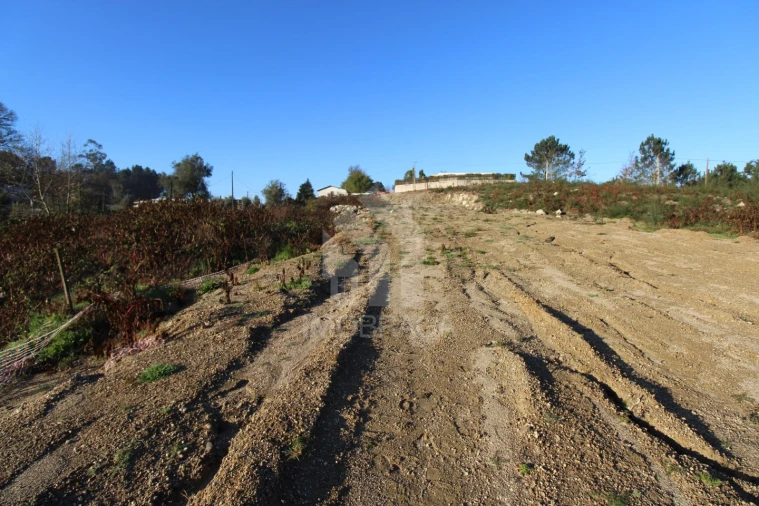 Terreno para Venda em Águas Santas e Moure Foto 10