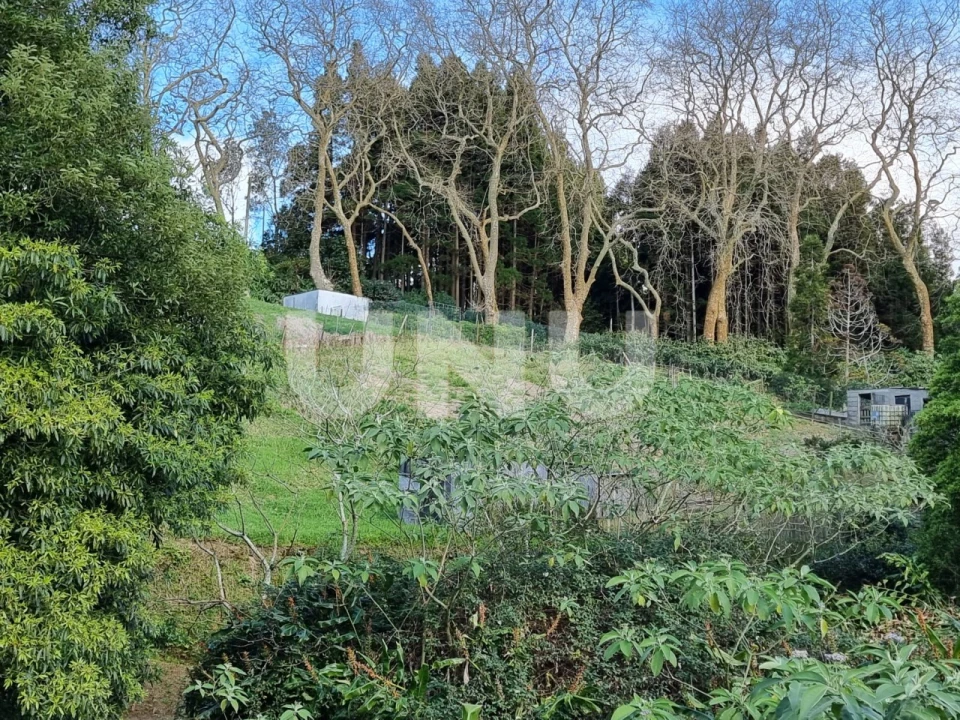 Terreno Agricola ou Rústico para Venda em Nossa Senhora dos Remedios Foto 6