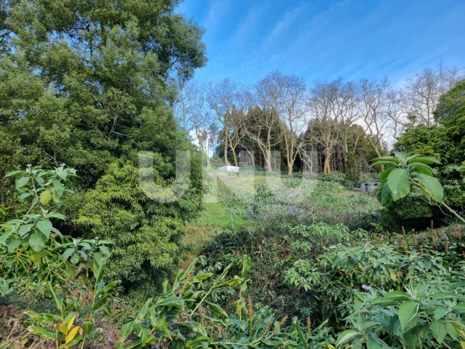 Terreno Agricola ou Rústico para Venda em Nossa Senhora dos Remedios Foto 17