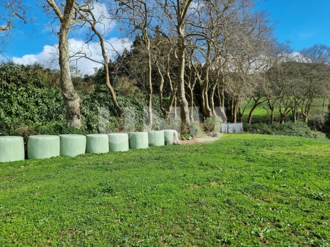 Terreno Agricola ou Rústico para Venda em Nossa Senhora dos Remedios Foto 21