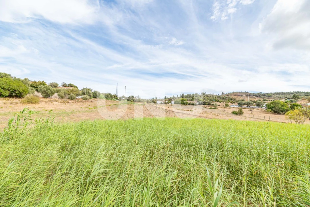 Terreno Agricola ou Rústico para Venda em Castanheira do Ribatejo e Cachoeiras Foto 5