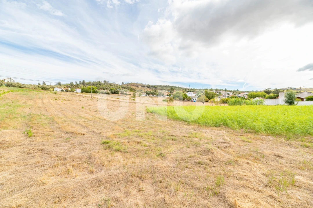 Terreno Agricola ou Rústico para Venda em Castanheira do Ribatejo e Cachoeiras Foto 6