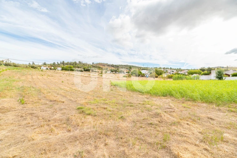 Terreno Agricola ou Rústico para Venda em Castanheira do Ribatejo e Cachoeiras Foto 6