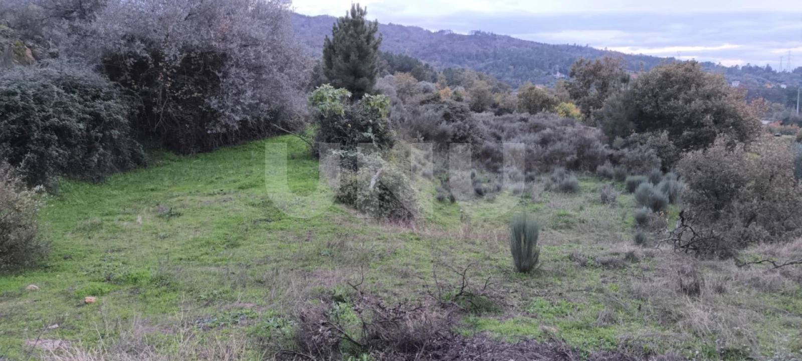 Quinta T1 para Venda em Ferro Foto 9