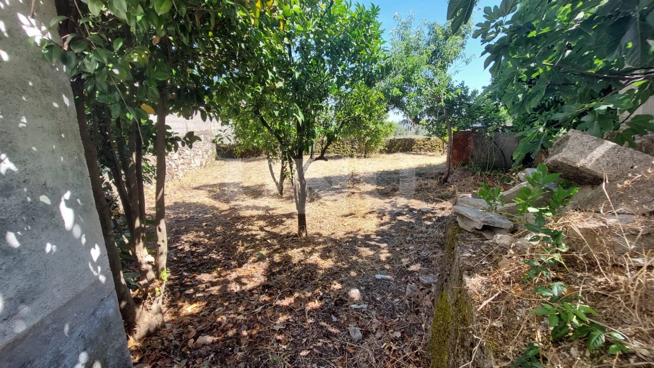 Moradia T5 para Venda em Louriçal do Campo Foto 3