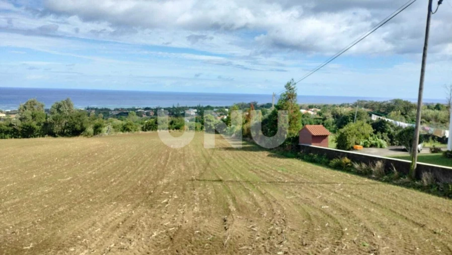 Terreno para Venda em São Vicente Ferreira