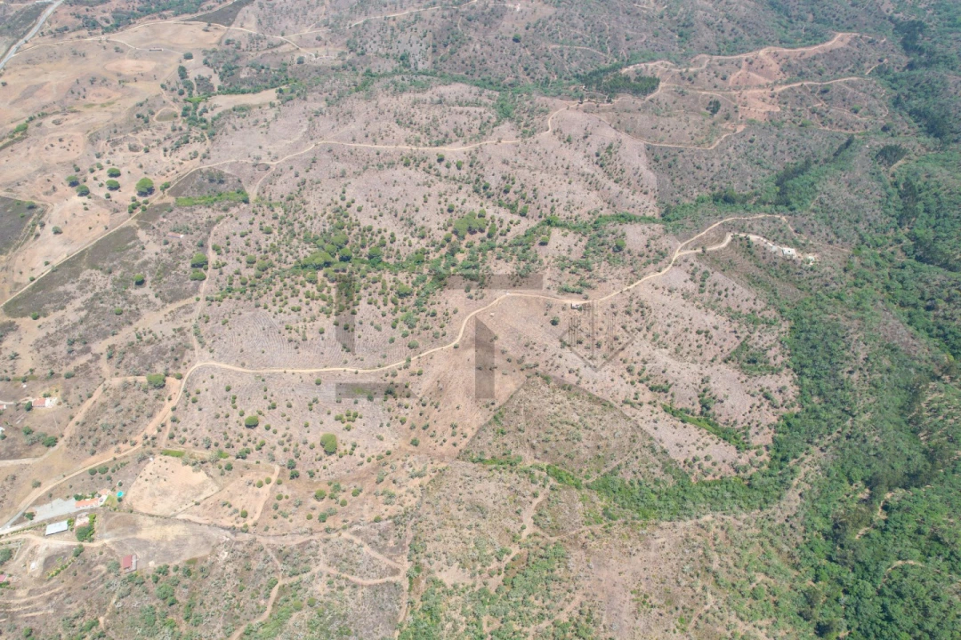 Terreno para Venda em São Francisco da Serra Foto 6