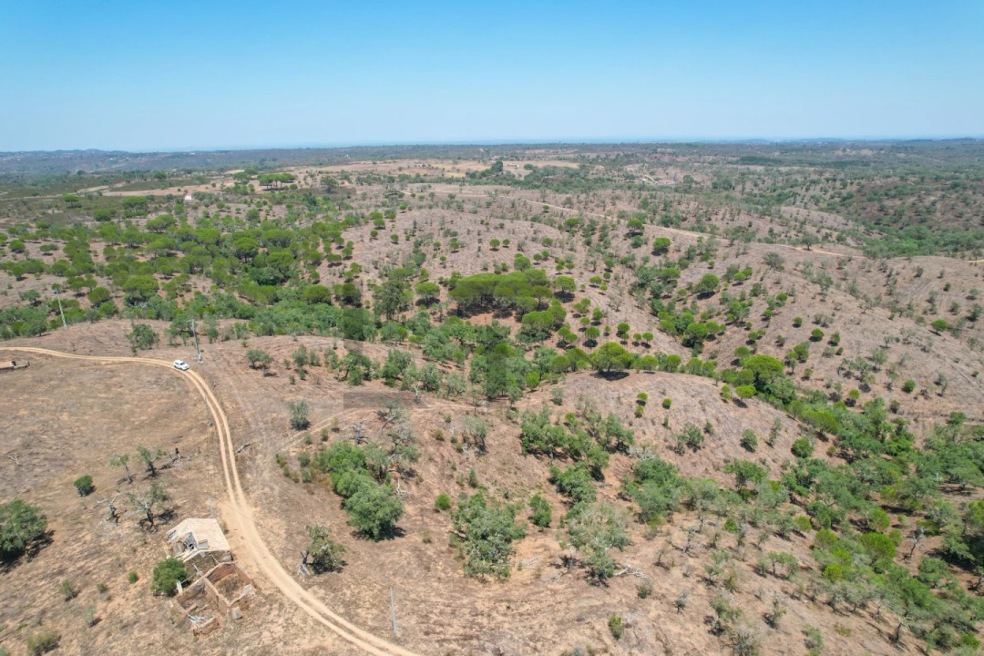 Terreno para Venda em São Francisco da Serra Foto 20