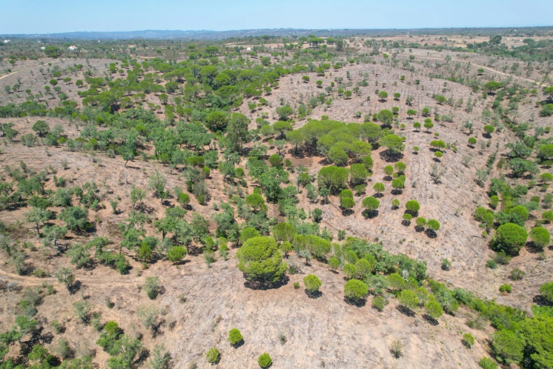 Terreno para Venda em São Francisco da Serra Foto 24