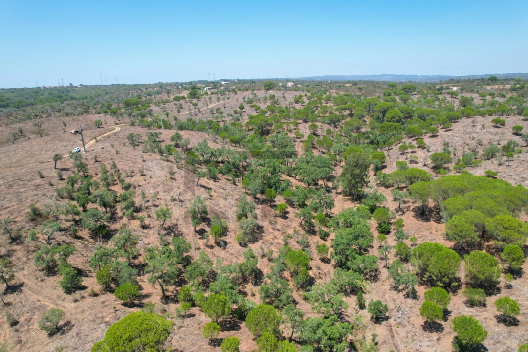 Terreno para Venda em São Francisco da Serra Foto 25