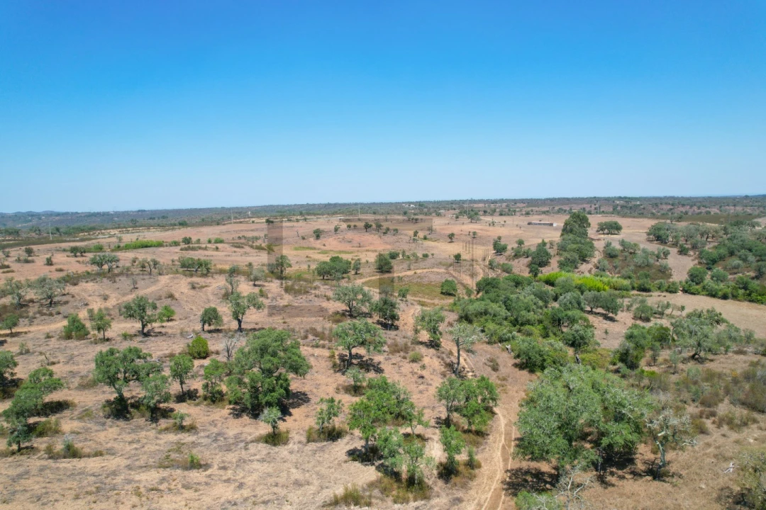 Terreno para Venda em São Francisco da Serra Foto 29