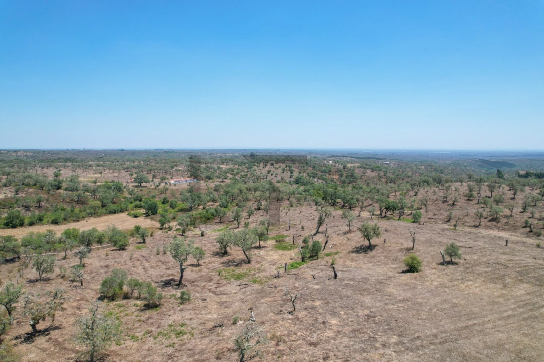 Terreno para Venda em São Francisco da Serra Foto 31