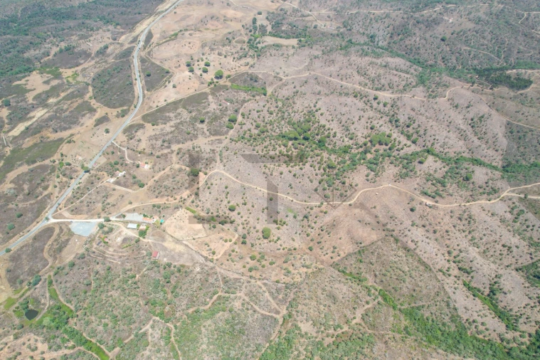 Terreno para Venda em São Francisco da Serra Foto 5
