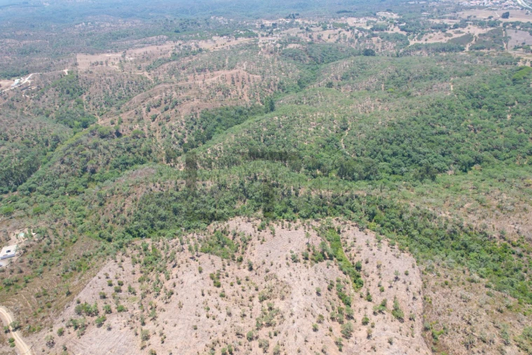 Terreno para Venda em São Francisco da Serra Foto 13