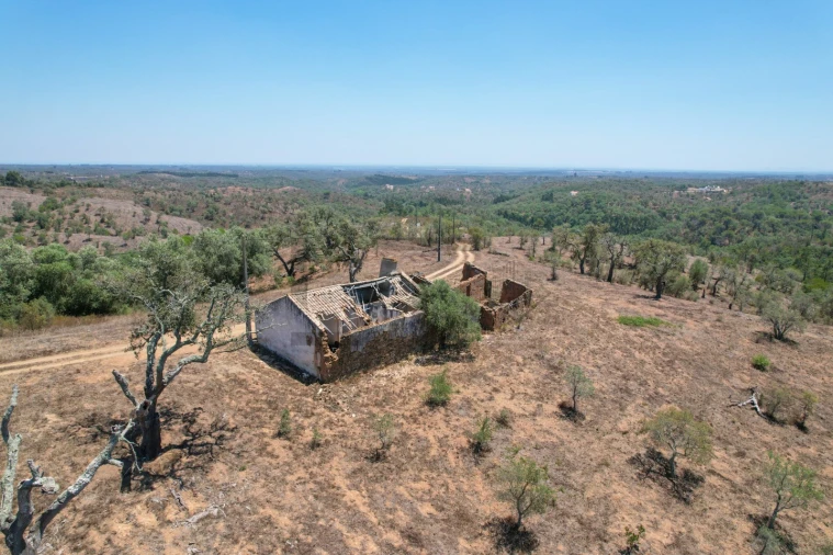 Terreno para Venda em São Francisco da Serra Foto 15